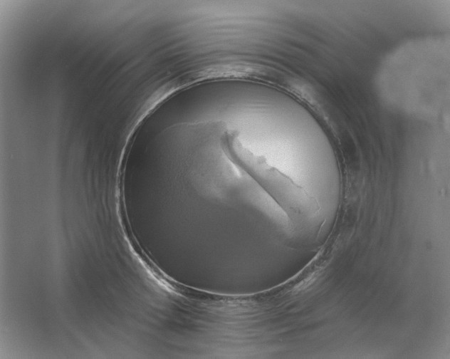 X0000062790802200601051044