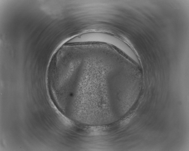 X0000062790803200601051044