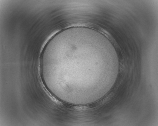 X0000062790804200601051044