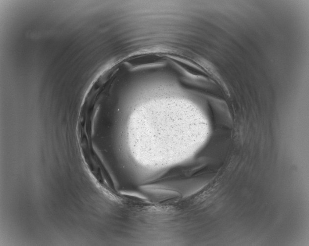 X0000062790805200601051044