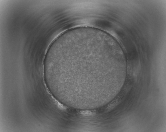 X0000062790807200601051044