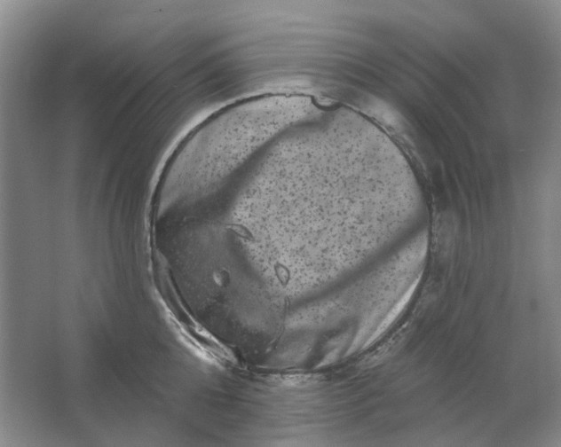 X0000062790808200601051044