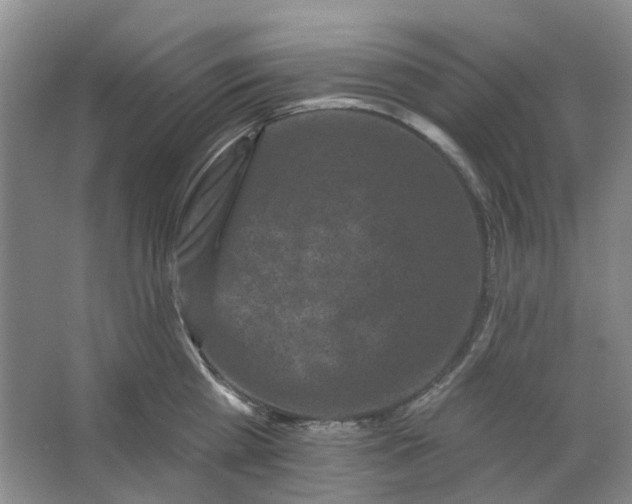 X0000062790809200601051044