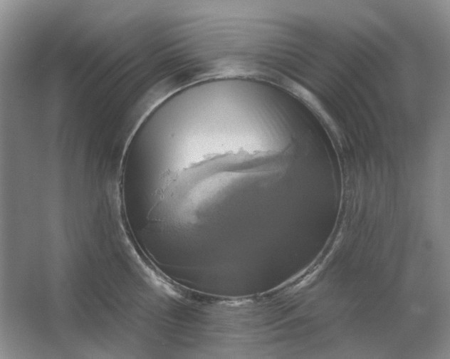 X0000062790810200601051044