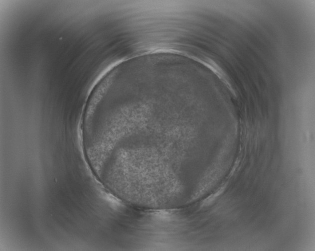 X0000062790814200601051044