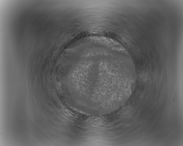 X0000062790817200601051043