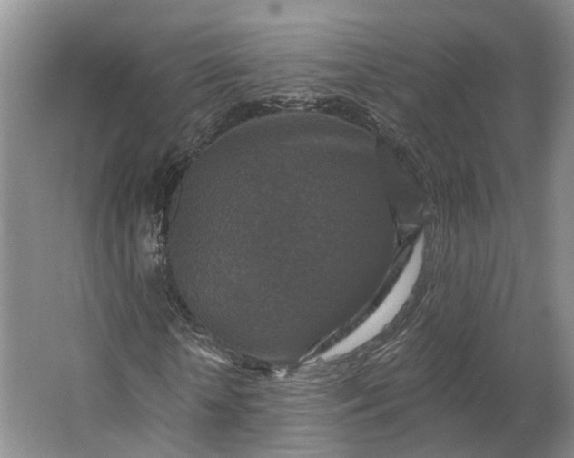 X0000062790818200601051043