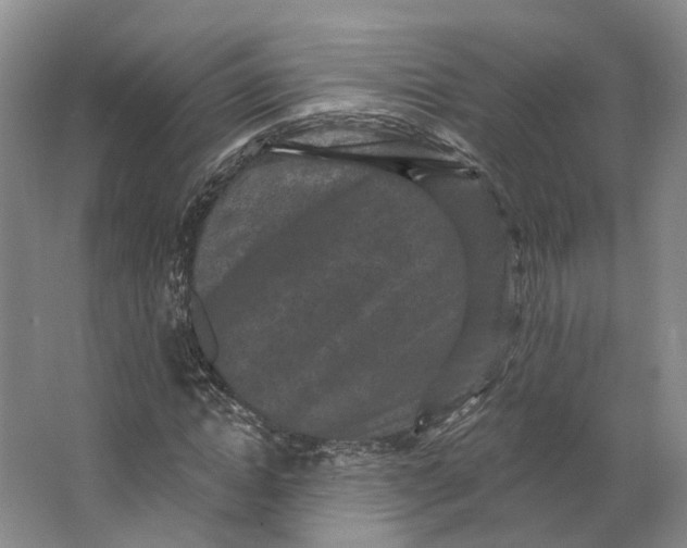 X0000062790822200601051043