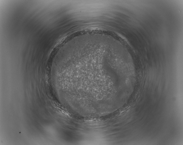 X0000062790823200601051043