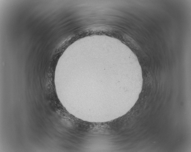 X0000062790824200601051043