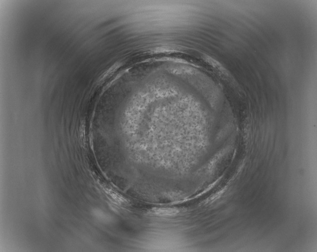 X0000062790825200601051043