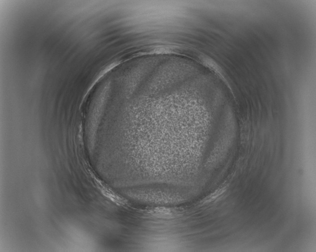 X0000062790827200601051043