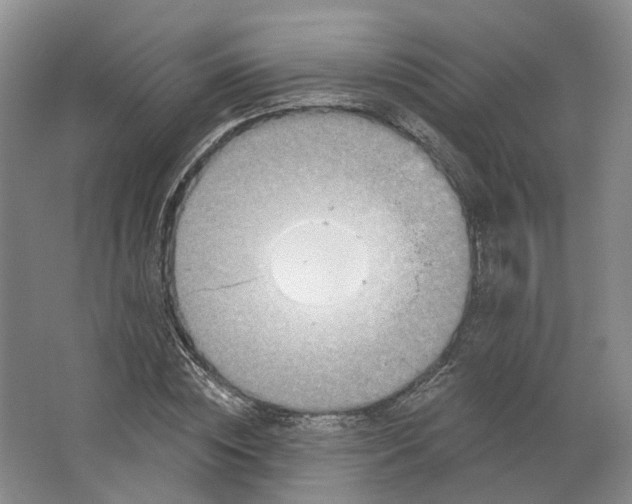 X0000062790828200601051043