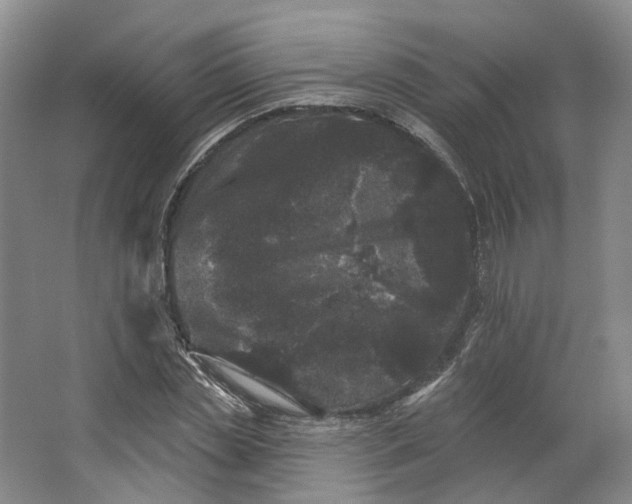 X0000062790829200601051043