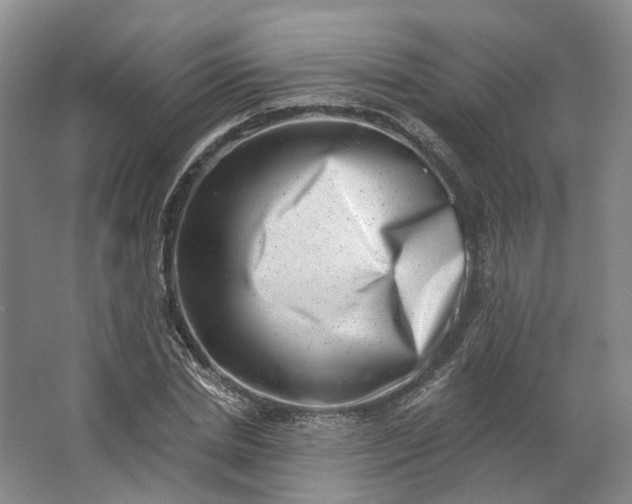 X0000062790830200601051043