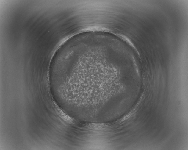 X0000062790831200601051043