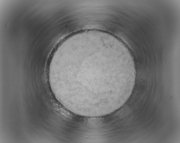 X0000062790832200601051043