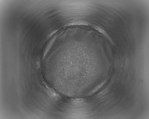 X0000062790833200601051043