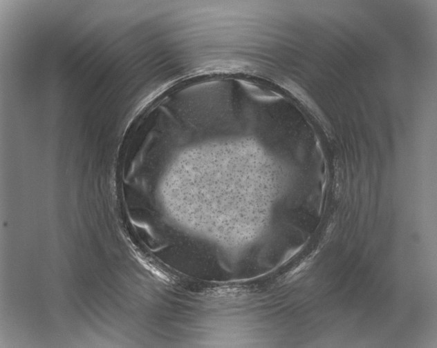 X0000062790834200601051043