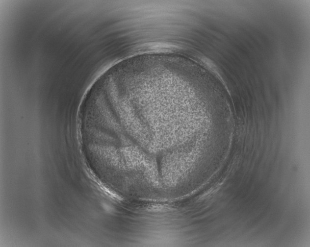 X0000062790835200601051043