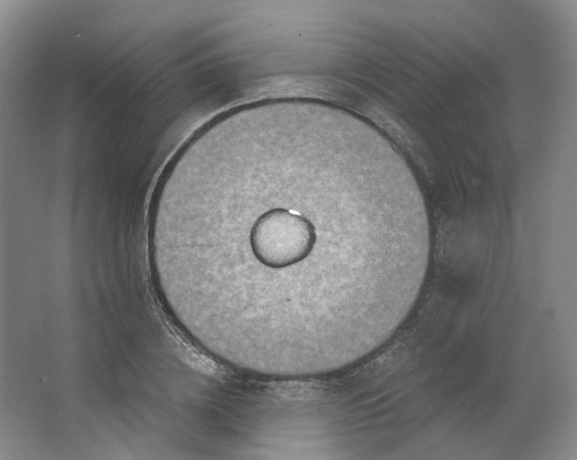 X0000062790836200601051043