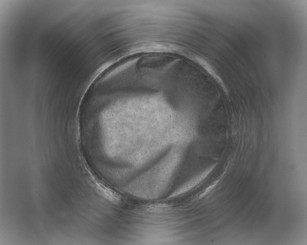 X0000062790837200601051043