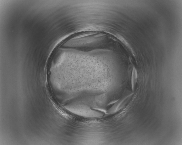 X0000062790838200601051043