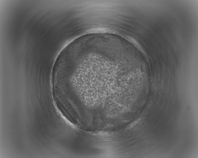 X0000062790839200601051043