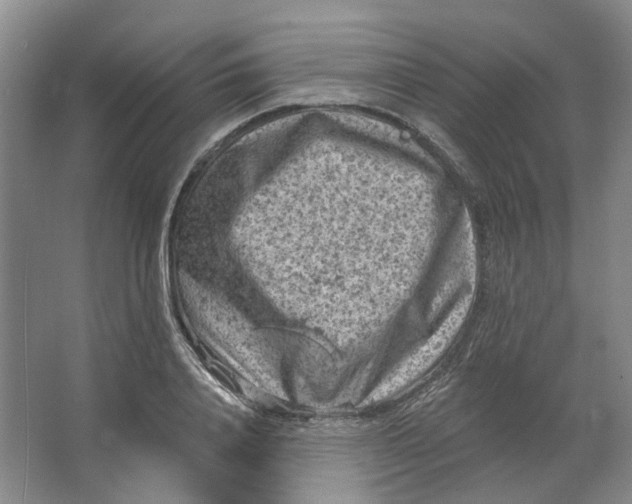 X0000062790840200601051043