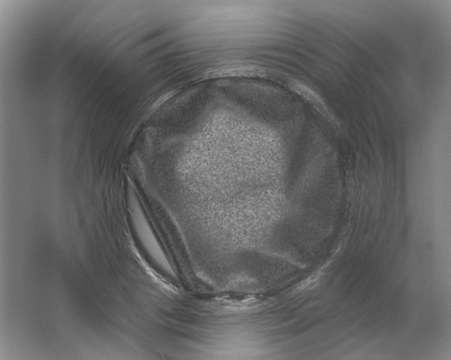 X0000062790841200601051043