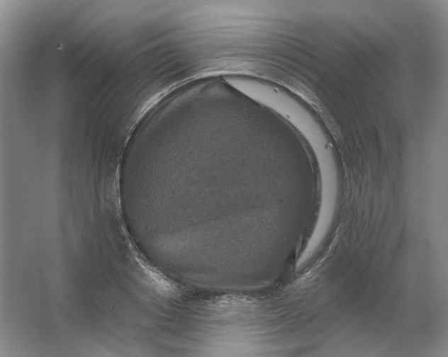 X0000062790842200601051043