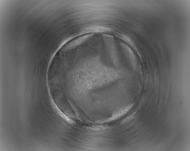 X0000062790843200601051043