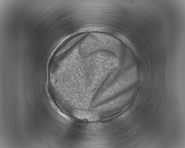 X0000062790844200601051043