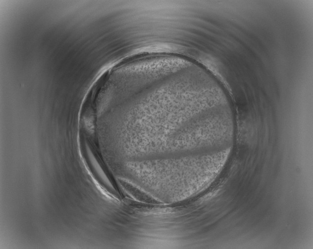 X0000062790845200601051044