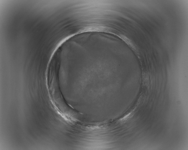 X0000062790846200601051044