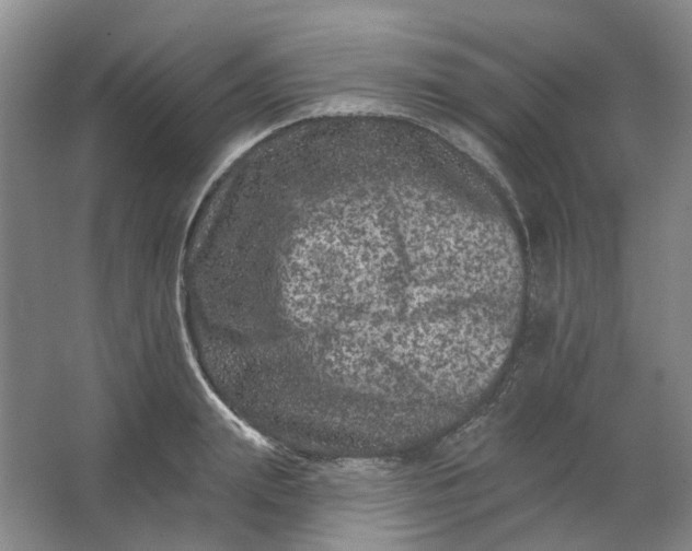 X0000062790847200601051044