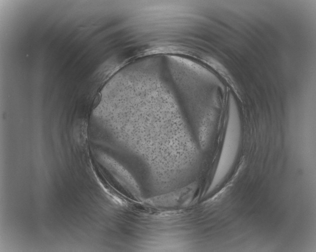 X0000062790849200601051044