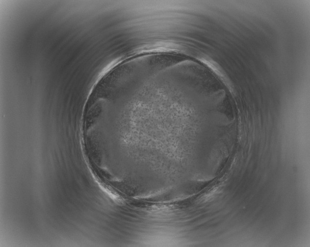 X0000062790850200601051044