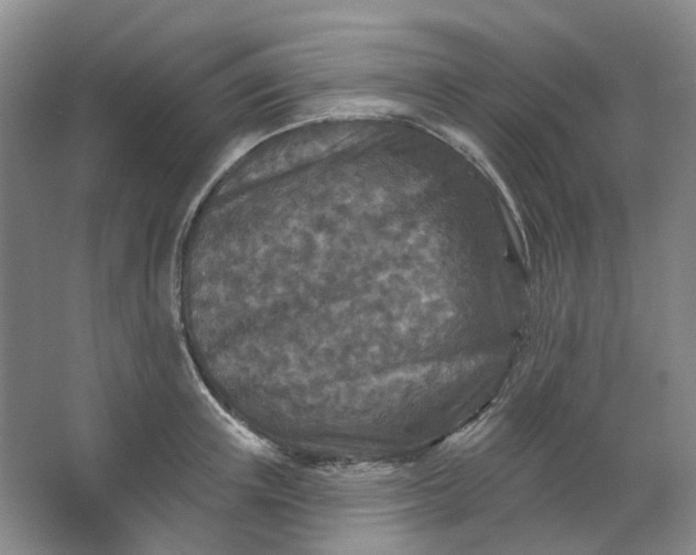 X0000062790851200601051044