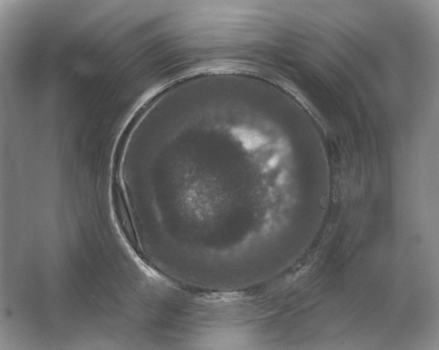 X0000062790853200601051044