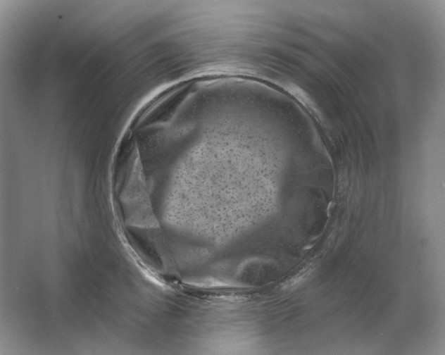 X0000062790854200601051044