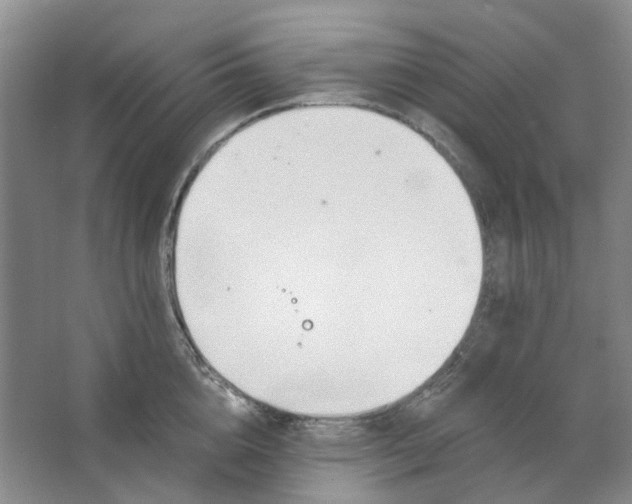 X0000062790856200601051044