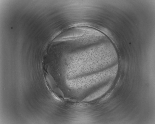 X0000062790857200601051044