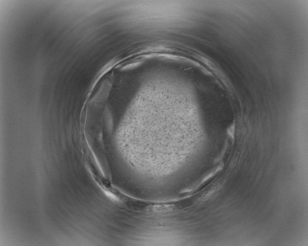 X0000062790858200601051044