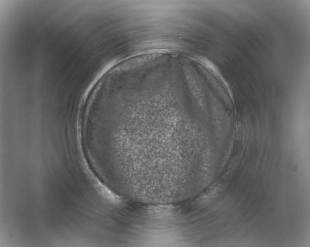 X0000062790859200601051044