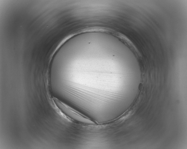 X0000062790860200601051044