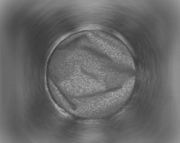 X0000062790861200601051044