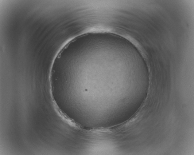 X0000062790864200601051044