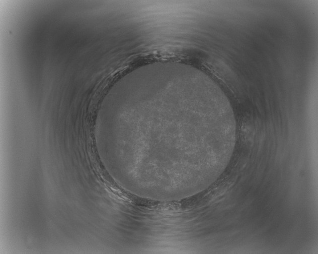 X0000062790865200601051043