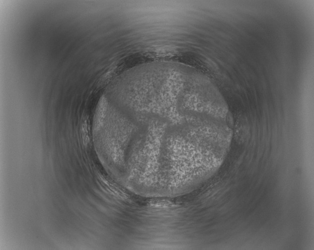 X0000062790866200601051043